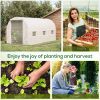 Outsunny 15' x 7' x 7' Walk-In Tunnel Greenhouse, Large Garden Hot House Kit with 6 Roll-up Windows & Roll Up Door, Steel Frame, White